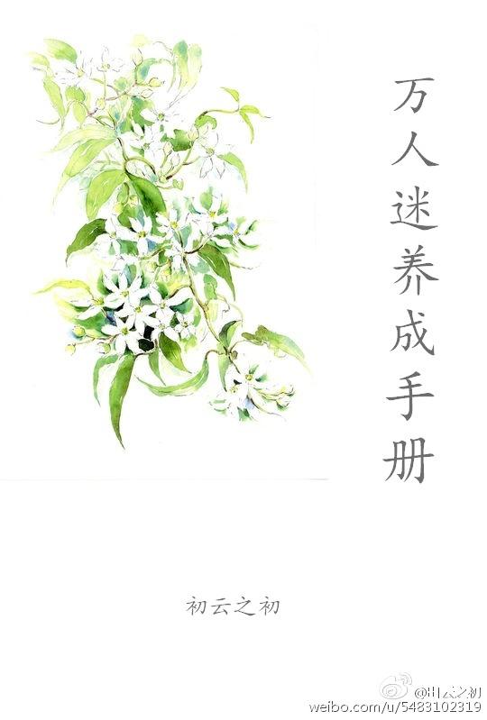 万人迷是如何养成的