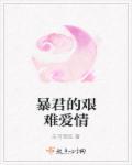 艰难爱情第二部32全集电视剧全集