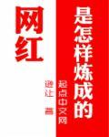 网红是如何形成的