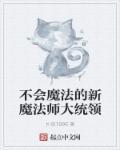 魔法师不会魔法的动漫