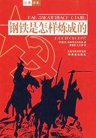 钢铁是怎样炼成的故事梗概