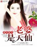 我的老婆是天仙