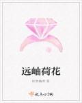 荷花远看像什么?