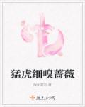 猛虎嗅蔷薇什么意思