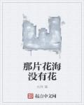 那片花那片海cctv