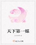 天下第一媒婆演员表全部名单