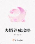 夫婿成群剧