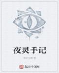 夜灵怎么找