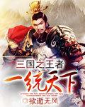 三国一统天下