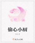 偷心贼