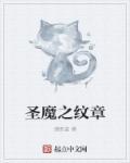火焰纹章 圣魔之光石攻略