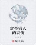 赏金猎人d