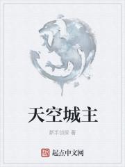 天空城主精校版