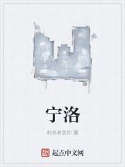 宁洛高速扩建工程