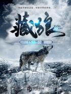 藏狼露酒价格表