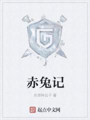 赤兔记公司
