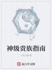 超级贵族养成系统