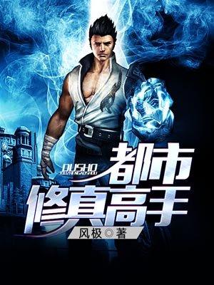 都市修仙高手免费阅读