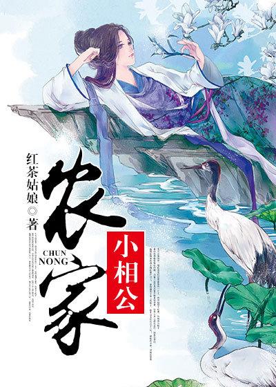 农家小相公by萝卜精
