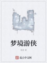 梦境游戏攻略姐姐
