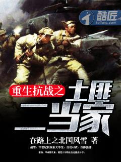 重生抗战之土匪二当家在路上之北国