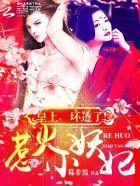 惹火小妖妃皇上坏透了