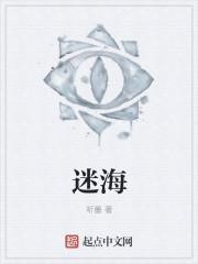 迷海归巢电视剧免费观看完整版