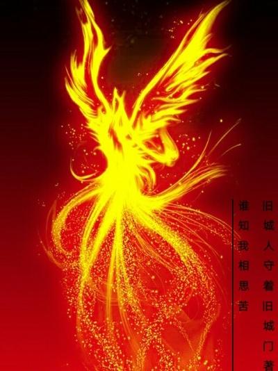 凤皇凤皇止于阿房
