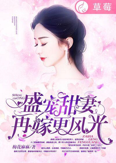 再嫁盛世暖婚