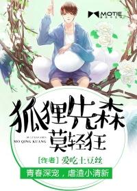 狐狸先生全文阅读