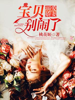 宝贝别逃全文免费阅读