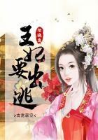 王妃出逃1000次计划