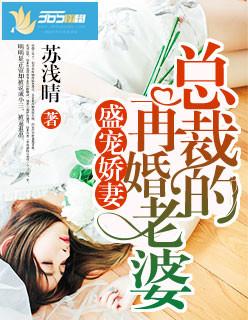 盛宠娇妻总裁的再婚老婆 苏浅晴