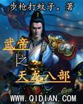 武侠之天龙武帝