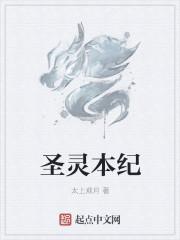 圣灵纪什么时候写的