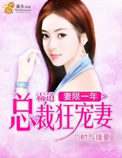 霸道总裁宠妻佳妻