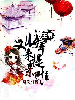 王爷出嫁了在线阅读