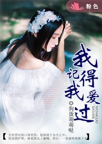 我记得我爱过中文版