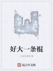 老子是神灯