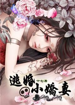 逃婚小王妃