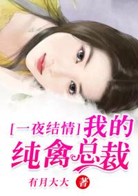 我的陆总裁