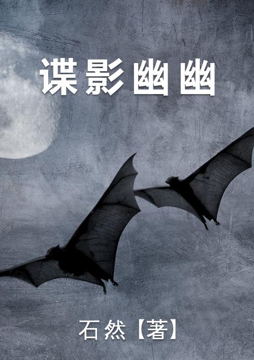 谍影教程
