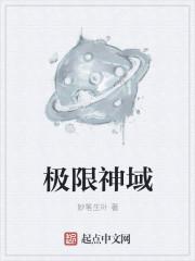 极限神域sans量级