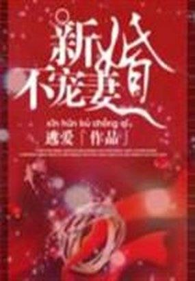 新婚不受宠全文免费阅读
