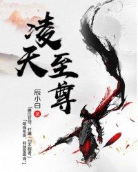 凌天战魂