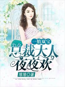 一胎双宝总裁大人夜夜欢3306