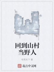 回到山村做修士