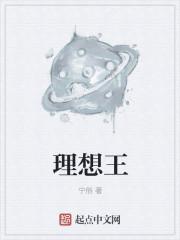 理想王佳佳简历