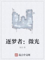 逐梦之光什么意思