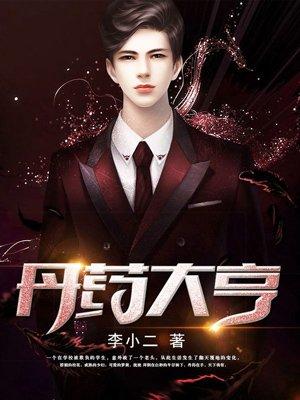 丹药大亨完结版未删节版